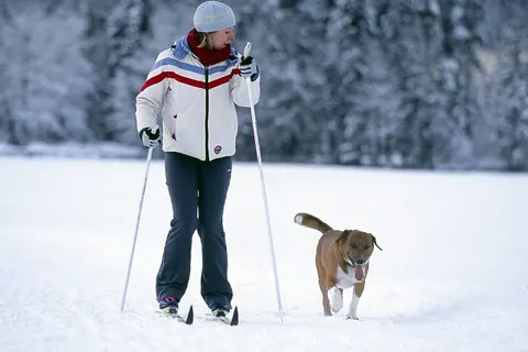 Hotel Bergland foto 14