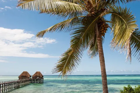 16 daagse safari Verrassend Tanzania & Zanzibar foto 3