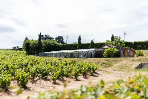 La Grappe Fleurie in Fleurie — foto 7