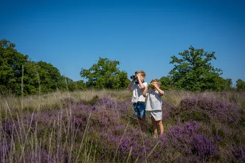 De Tovertuin in Hoogerheide — foto 6