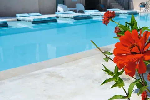 Olga Lounge Hotel in Δημοτική Ενότητα Λευκάδος — foto 5