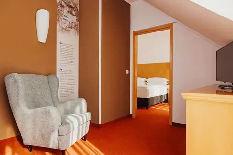 Ramada Hotel & Suites by Wyndham Kranjska Gor in Kranjska Gora, foto 10