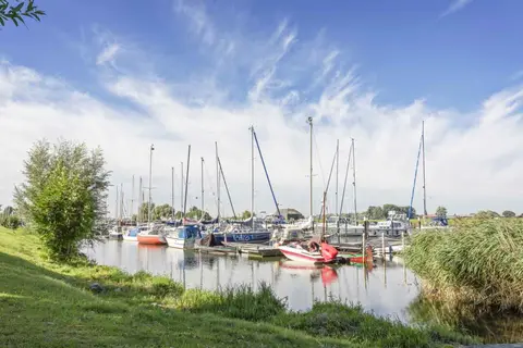 De Biesbosch in Dordrecht — foto 13