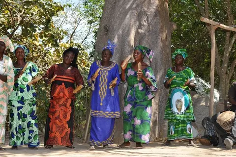 Rondreis Avontuurlijk Gambia & Senegal in Sneek — foto 11
