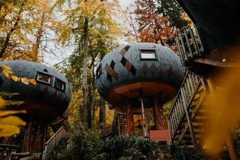 Sonnenresort Ettershaus foto 2