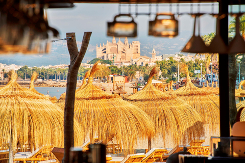 Melia Palma Bay foto 2