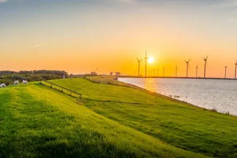 B&B Kunstkamer Franeker foto 30