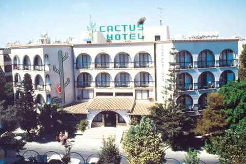 Cactus in Larnaca