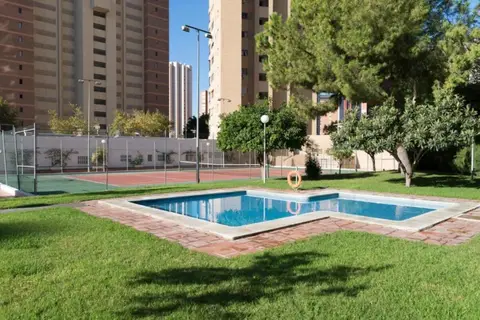 Gemelos  2-4-Gestaltur in Benidorm — foto 20