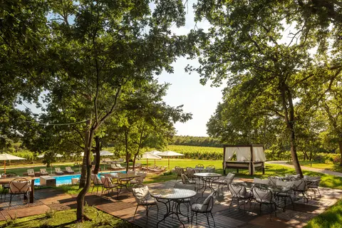 Meneghetti Wine Hotel & Winery in Baal — foto 9