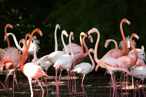 Villa Abbondanzi Resort in Faenza — foto 29