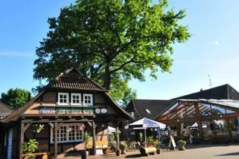 Akzent Hotel Zur Grünen Eiche foto 28