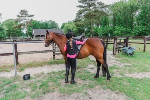 Camping De Reeënwissel foto 17