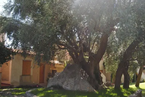 L'Olivara Villaggio in Rome — foto 19
