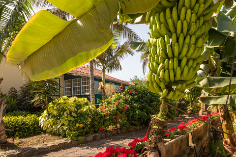 Casa Amarilla foto 10