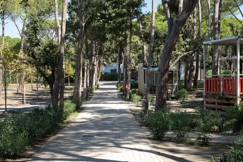 Capannino Camping Village in Bibbona — foto 13