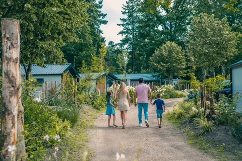 De Utrechtse Heuvelrug foto 13