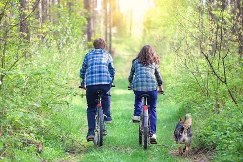 In de Tuin van Dorth foto 14