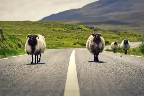 Ontdek Ierland in 11 dagen in Ierland, foto 4