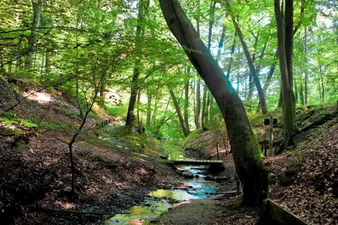 Boutique Hotel Beekhuizen foto 27