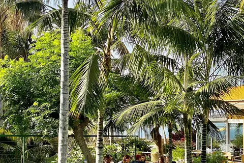 Hotel Tigaiga in Puerto De La Cruz — foto 17