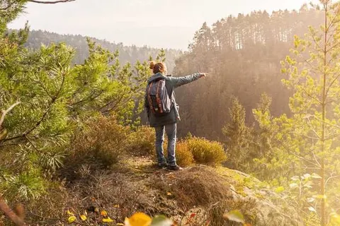 Hotel Restaurant Lindenhof foto 10