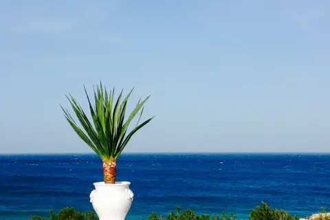Playa del Mar in Pomezia, foto 3