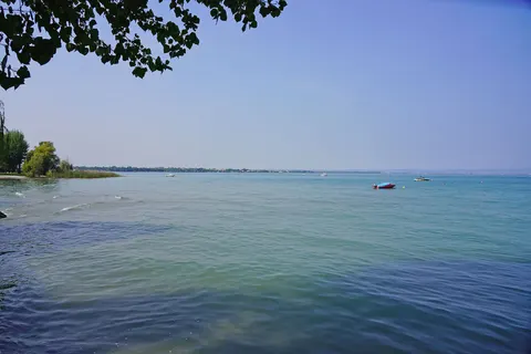 Gasparina foto 21