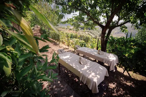 Vila Marim Country Houses in Mesão Frio — foto 14