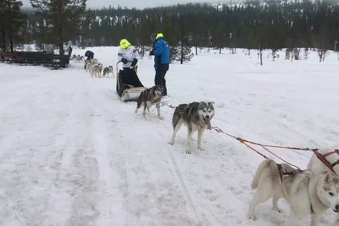 Johannisholm Adventure foto 10