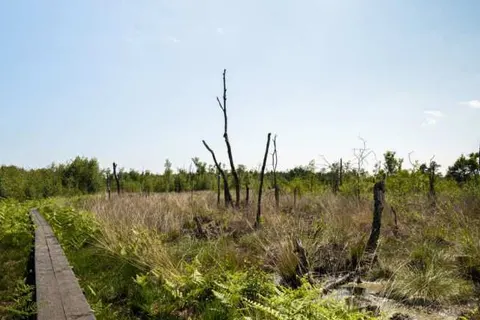 Hofparken Wiltershaar foto 19