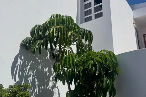 Hotel Malibu Park in Adeje — foto 18
