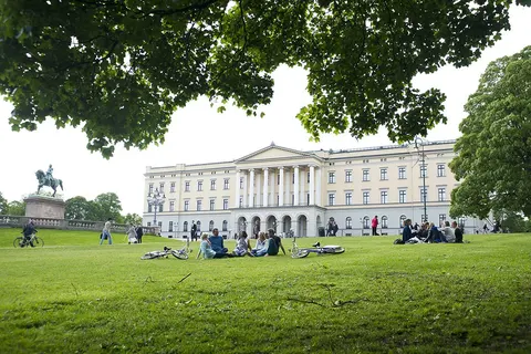Fjorden, Gletsjers en Dalen foto 30