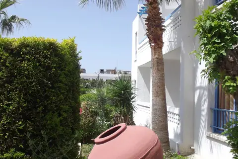 Kefalonitis in Paphos — foto 4