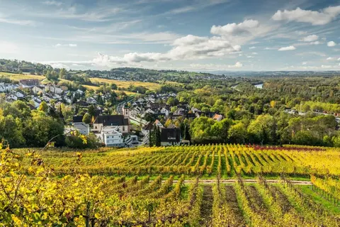 Hotel Markushof in Bad Bellingen — foto 10