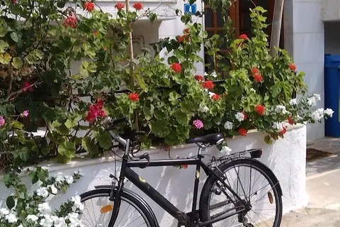 Irene Apartments in Δημοτική Ενότητα Μαλίων — foto 13