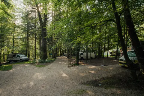 Forest Camping Mozirje in Mozirje — foto 16