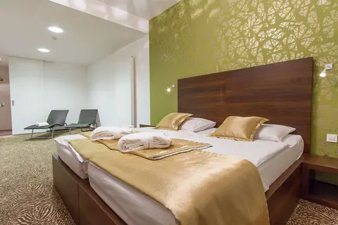 Rimske Terme Hotel Rimski Dvor in Rimske Toplice, foto 9