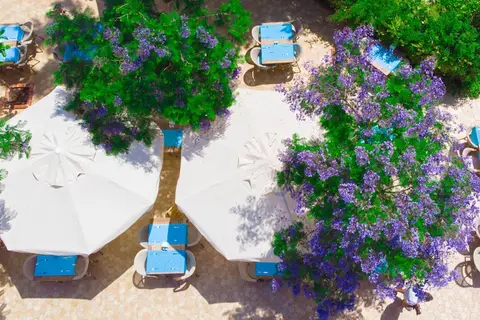 Yel Holiday Resort in Fethiye — foto 25