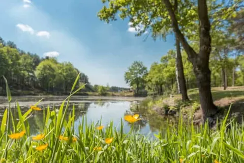 Vakantiepark De Bergen foto 25