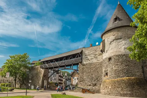 Over de Romantische Rijn in Montabaur — foto 2