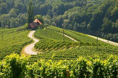 Ontdek Oost-Slovenië foto 3