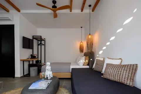 Olive Mykonos Villas in Δήμος Μυκόνου — foto 11