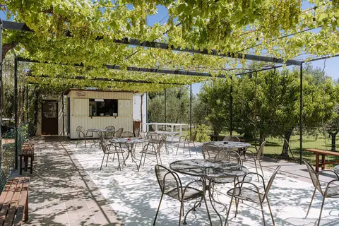 Masseria San Martino in Fasano, foto 6