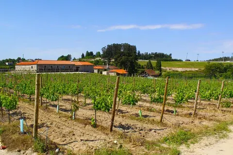 Lousada Country Hotel foto 1