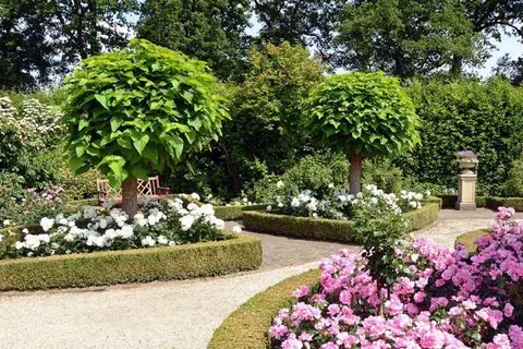 Bed and Breakfast Aan de Beek Arcen foto 17