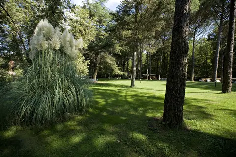 Montebelli Agriturismo & Country Hotel in Gavorrano — foto 23
