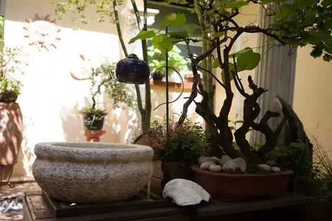 Olympia Terme in Abano Terme, foto 15