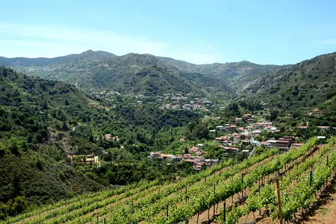 Casale Panayiotis in Kalopanagiotis, foto 28