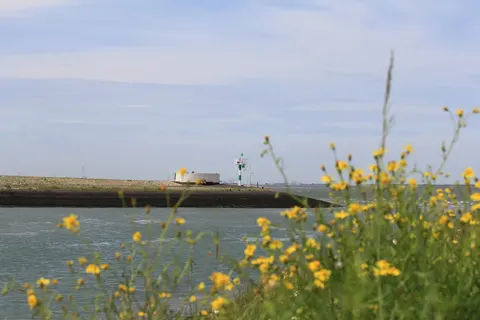 Gent en Brugge foto 17